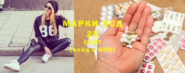 спайс Нея