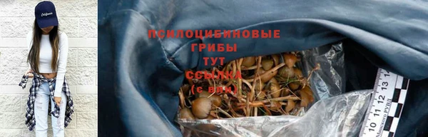 спайс Нея