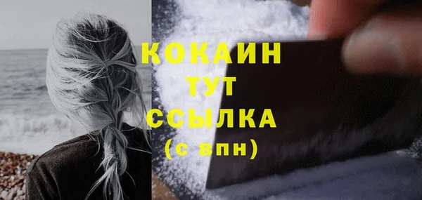спайс Нея
