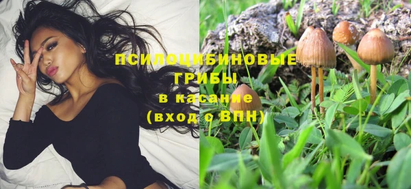 мдпв Нефтегорск
