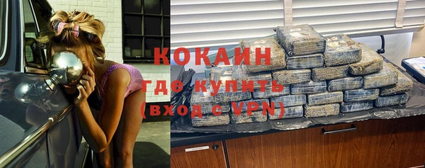 спайс Нея