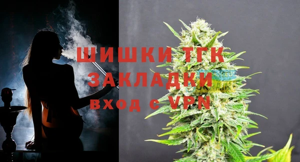 спайс Нея