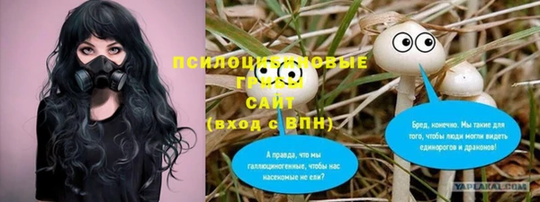 спайс Нея