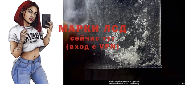 спайс Нея